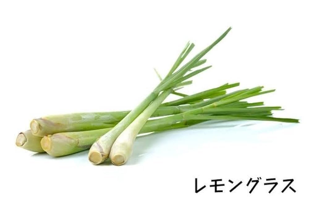 Frozen Lemongrass 冷凍レモングラス | 南アジア食材 日本 - Premium Halal Food Product