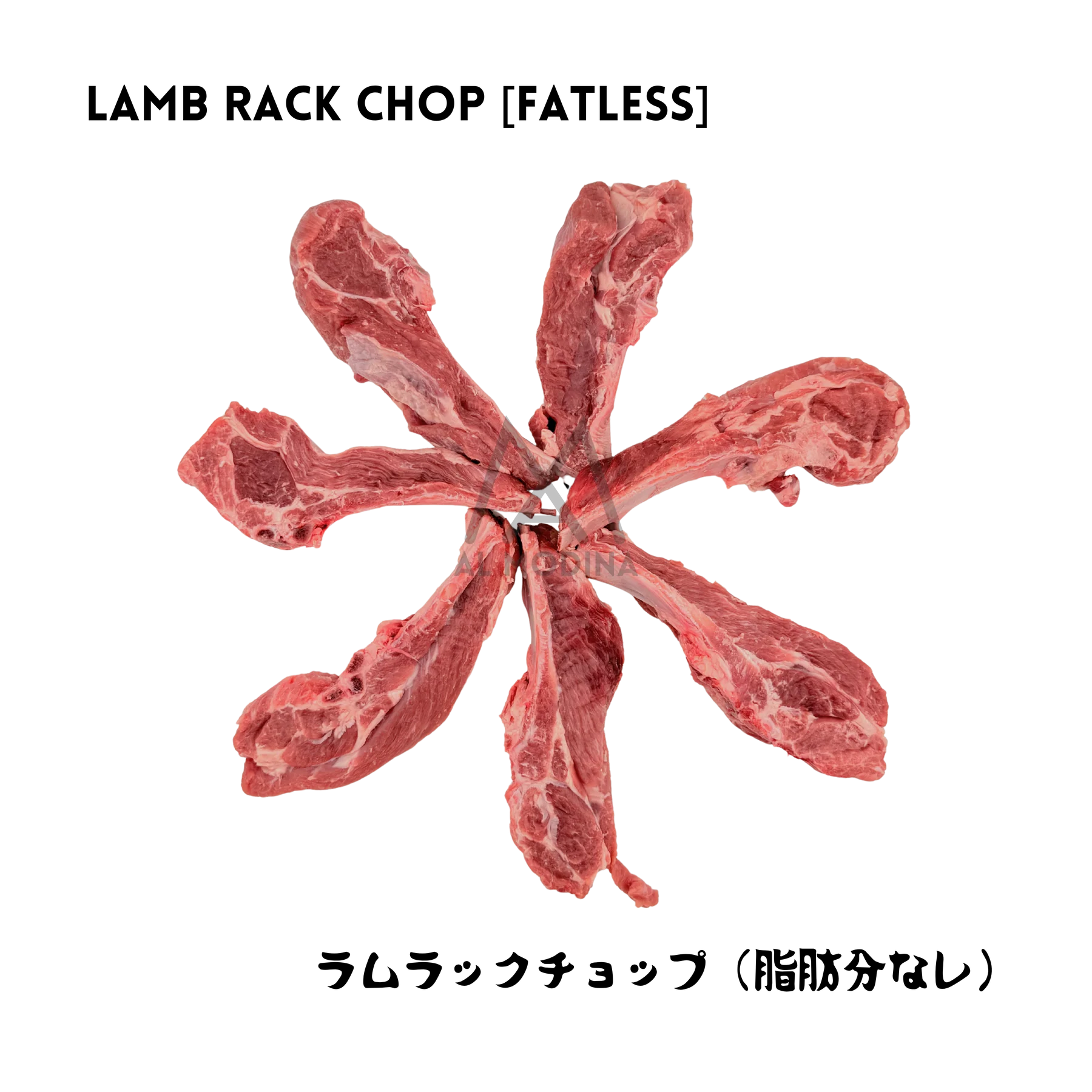 Lamb Rack Chop Special (Fatless) 500g ラムラックチョップスペシャル（脂肪分なし)500g - Premium Halal Food Product