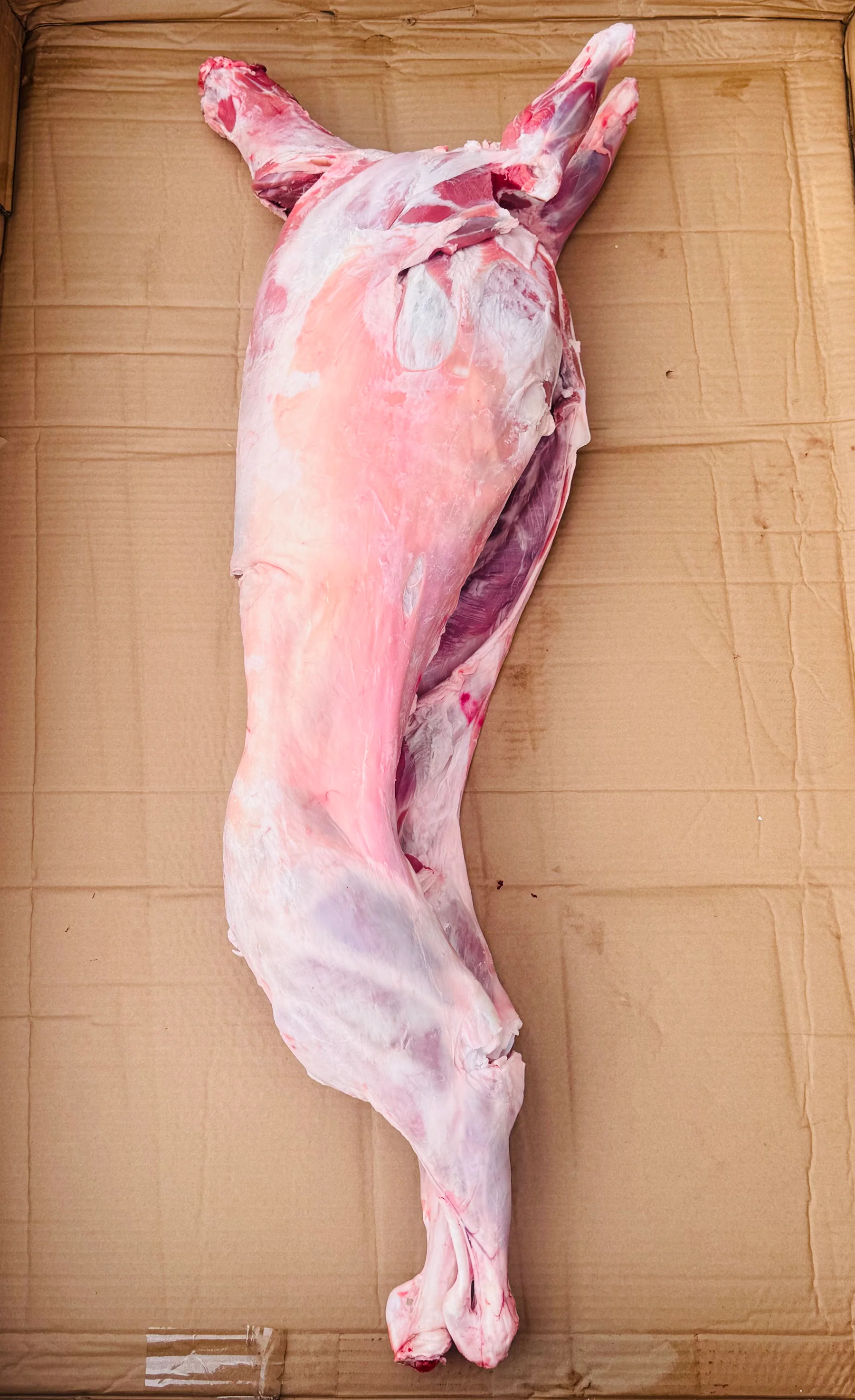 Fresh Whole Lamb From Australia 1kg Non-Frozen オーストラリア産新鮮なラム肉（丸ごと1頭）1kg（冷凍ではありません） - Premium Halal Food Product