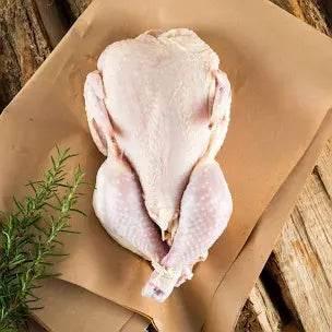Turkey Chicken 1100g – 七面鳥チキン|ハラール認証済み - Premium Halal Food Product