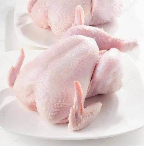 Whole Chicken 900g Turkey – 七面鳥産 丸鶏|ハラール認証済み - Premium Halal Food Product