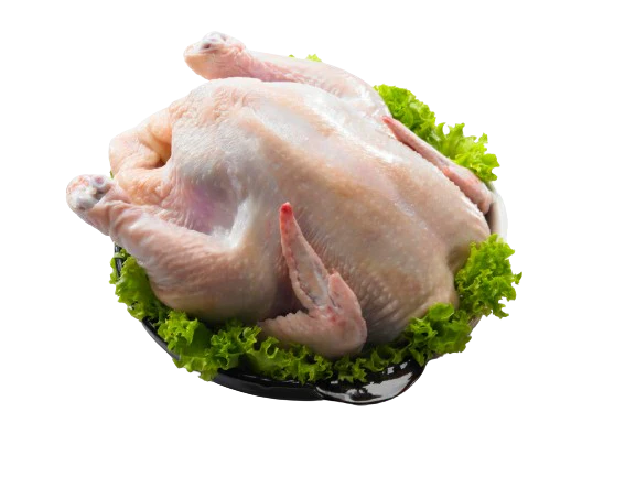 Halal Whole Chicken – Japan Processed (2.8kg)｜国産ハラール丸鶏 - Related product image