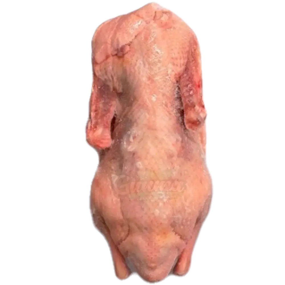 Halal Whole Duck 1.6kg – Thailand Import | タイ産ハラールダック(1.6kg) - Premium Halal Food Product