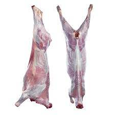 Halal Whole Mutton Carcass 17kg – Premium Quality|高品質ハラールマトン丸肉 - Premium Halal Food Product