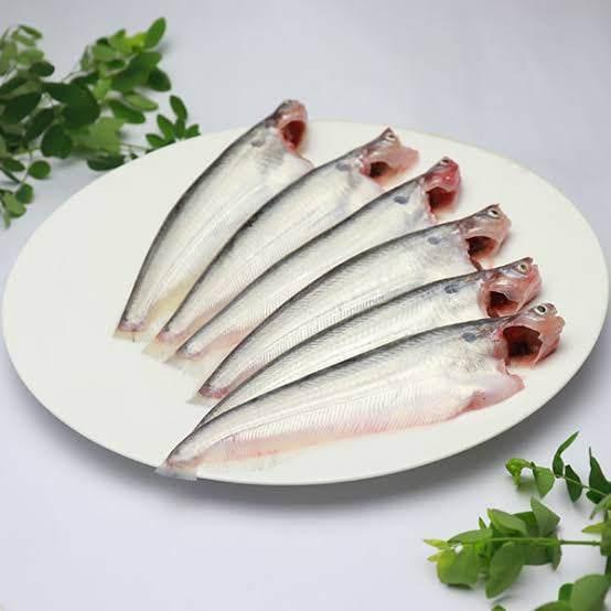 Pabda Fish 500g – Soft & Delicate Bengali Favorite|パブダ魚500g(やわらかくて淡白な人気の川魚) - Premium Halal Food Product