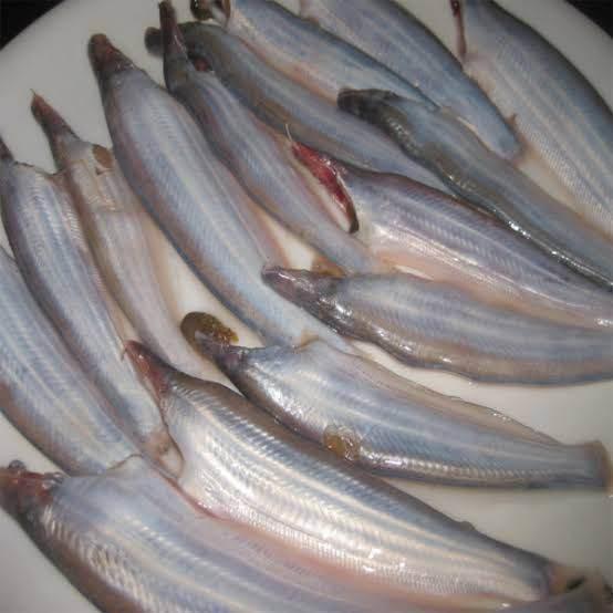 Kajoli Frozen Fish 200g – Fresh Halal Frozen Fish|カジョリ冷凍魚 200g(新鮮ハラール冷凍魚) - Premium Halal Food Product