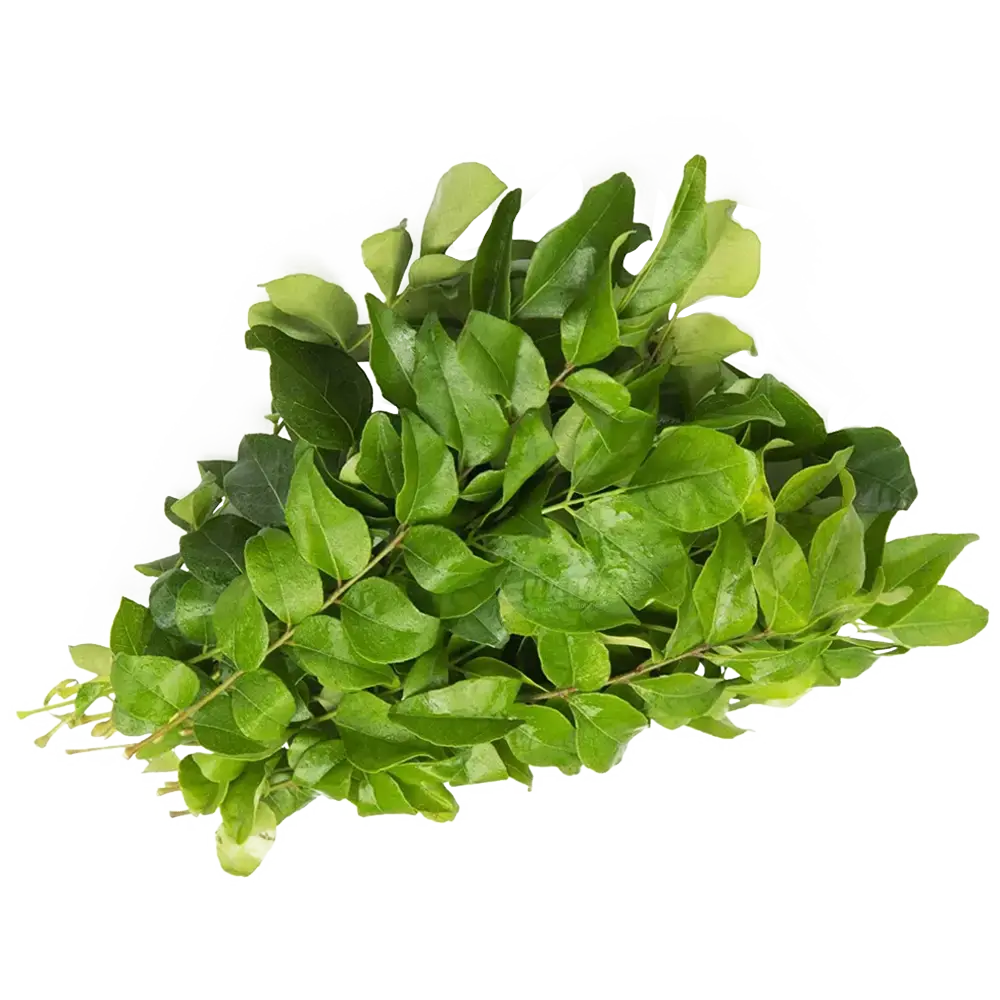 Frozen Curry Leaves (Kadhipatta) 100g – Authentic South Asian Flavor | 冷凍カレーリーフ 100g – 本格的な南アジアの香り - Premium Halal Food Product