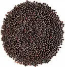 Black Mustard Seed 500g | 黒マスタードシード 500g - Premium Halal Food Product