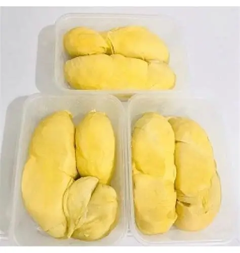 Frozen Durian 300g | 冷凍ドリアン 300g - Premium Halal Food Product