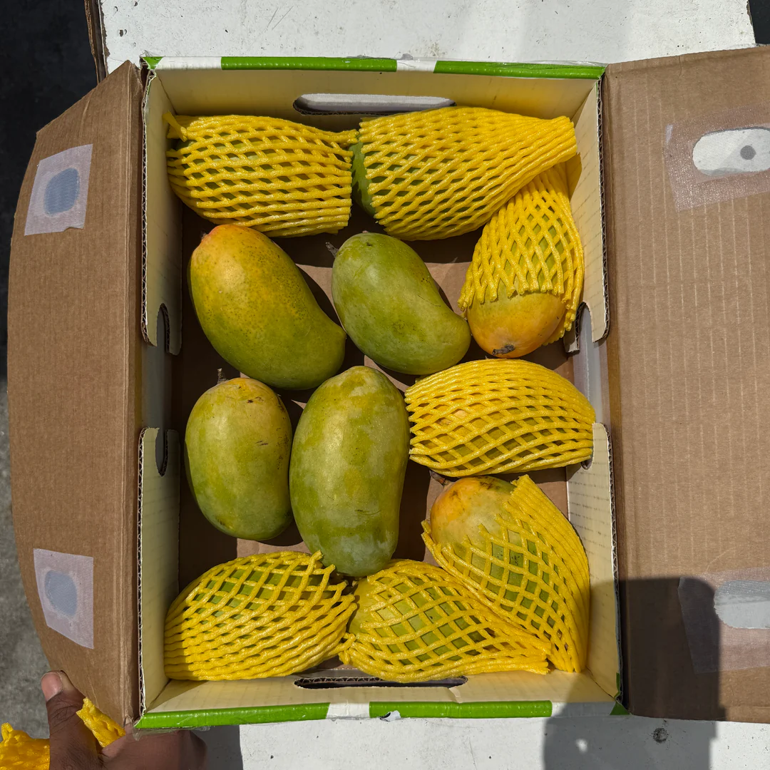 Indian Kesar Mango 2.5kg Crate | インド産ケサールマンゴー 2.5kg(箱入り) - Premium Halal Food Product