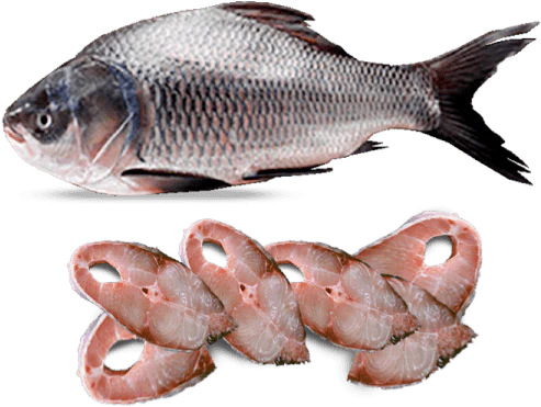 Fresh Whole Katla Fish (3kg+) – Premium Quality 新鮮なカトラ魚丸ごと(3kg以上) - Premium Halal Food Product