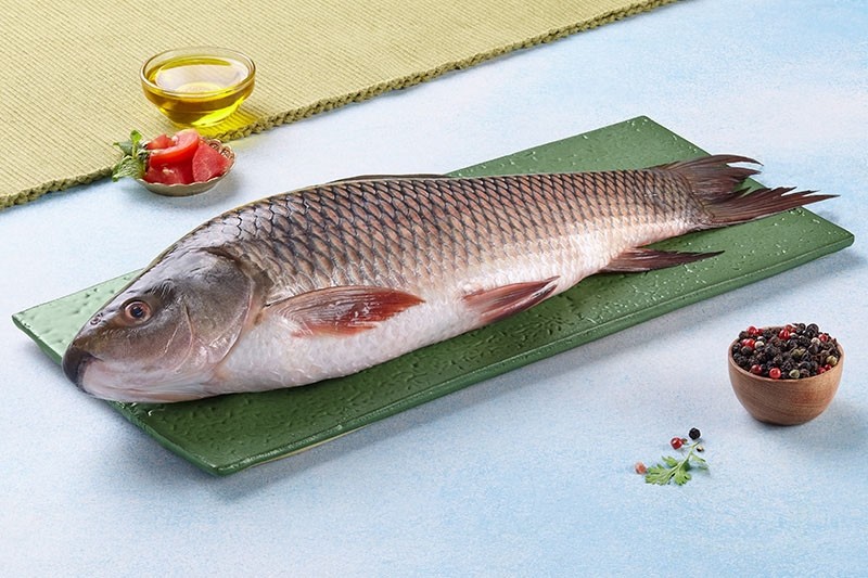 Whole Ruhi Fish | South Asian Grocery Japan ハラール対応 新鮮なルイ魚丸ごと(3kg以上) - Premium Halal Food Product