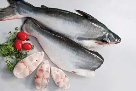 Halal Pangas Fish ハラール パンガス魚 3kg以上(カット)| South Asian Grocery Japan 南アジア食材 日本 - Premium Halal Food Product