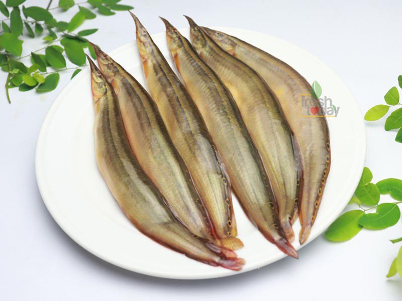 Halal Baim Fish 250g ハラール バイム魚 250g | 南アジア食材 日本 - Premium Halal Food Product