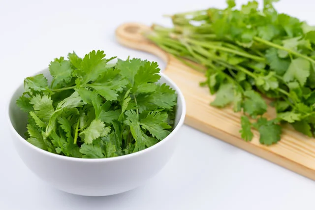 Fresh Coriander 新鮮コリアンダー | 南アジア食材 日本 - Premium Halal Food Product