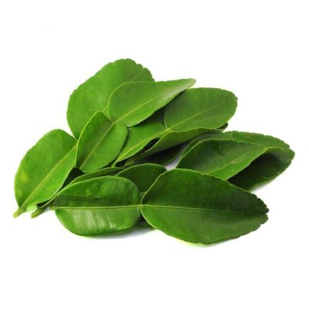 Lime Leaf 100g ライムリーフ 100g | 南アジア食材 日本 - Premium Halal Food Product
