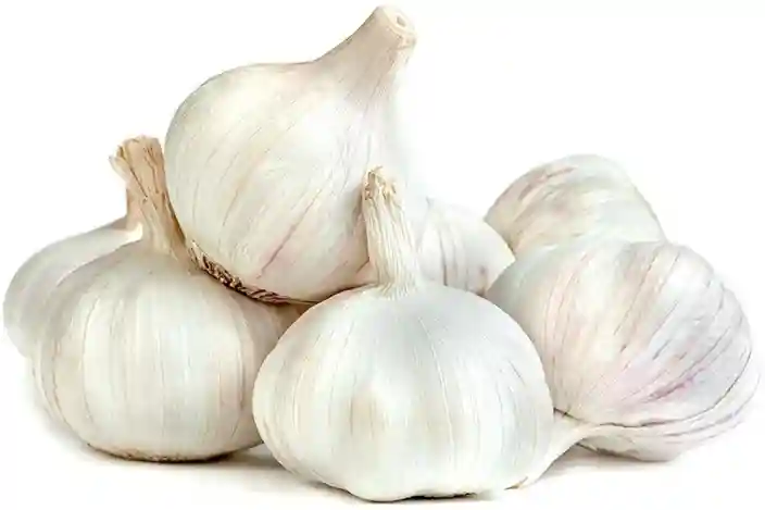Fresh Whole Garlic 1kg 新鮮丸ごとにんにく 1kg | 南アジア食材 日本 - Premium Halal Food Product