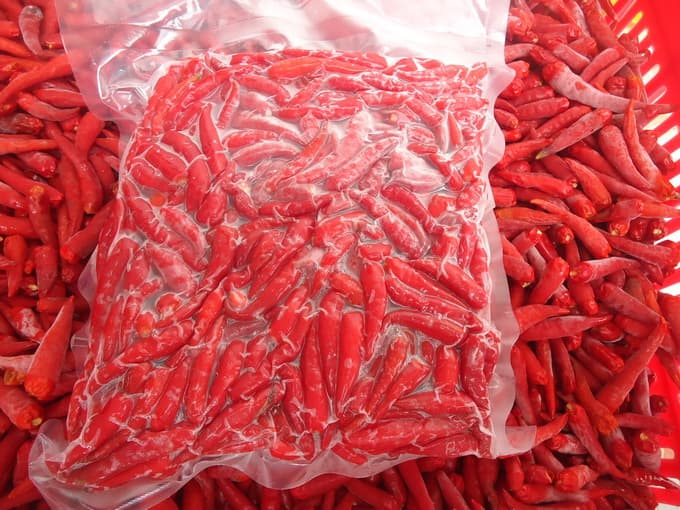 Hot Red Chilli 500g Frozen 冷凍赤唐辛子 500g | 南アジア食材 日本 - Premium Halal Food Product