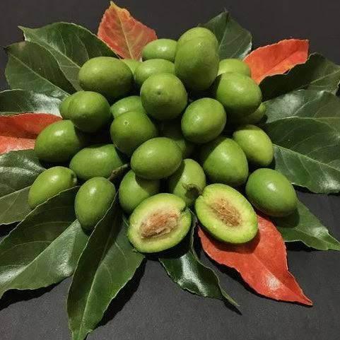 Olive Frozen 300g (Jolpai) 冷凍オリーブ 300g(ジョルパイ) | 南アジア食材 日本 - Premium Halal Food Product