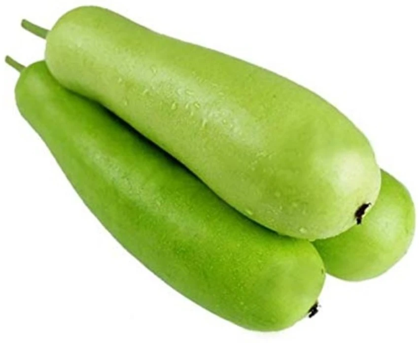 Fresh Lau / Gourd 2kg+ 新鮮ロウ/ヒョウタン 2kg以上 | 南アジア食材 日本 - Premium Halal Food Product