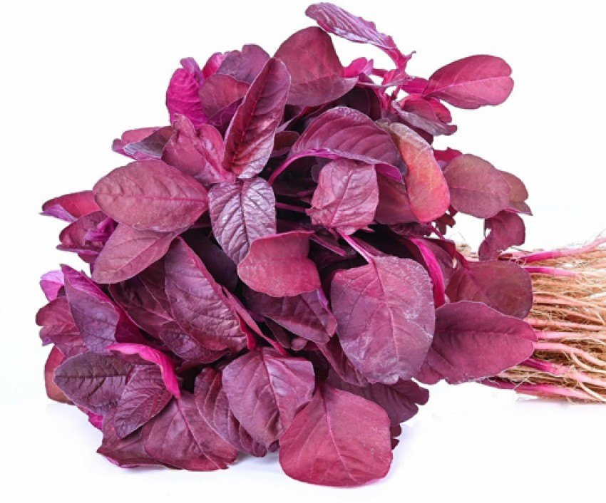 Fresh Lal Shak (Red Spinach) – Premium Leafy Greens - Premium Halal Food Product